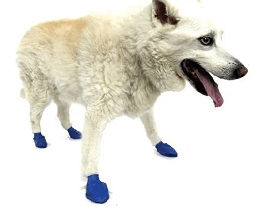 Pawz Water-Proof Dog Boot