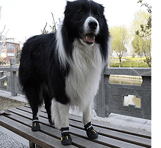 Waterproof Rugged Dog Shoes Pet Boots for Small Medium Large Dogs