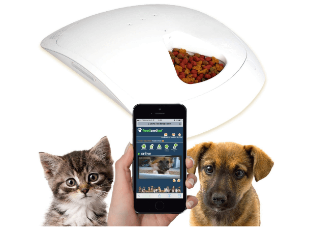 Feed and Go Smart Pet Feeder