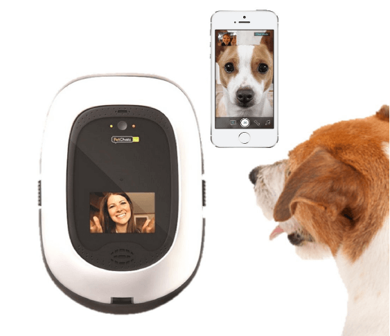PetChatz HD two-way premium audio HD video pet treat camera