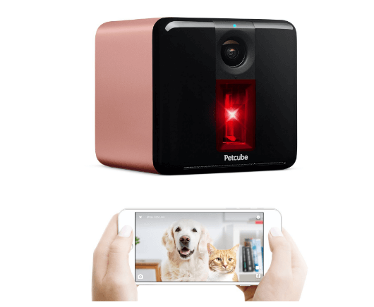 Video Camera to Monitor Your Dog or Cat