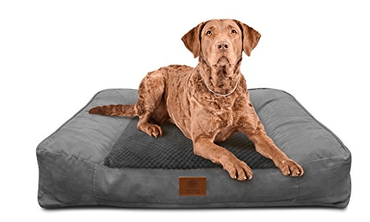 American Kennel Club Memory Foam Sofa Pet Bed