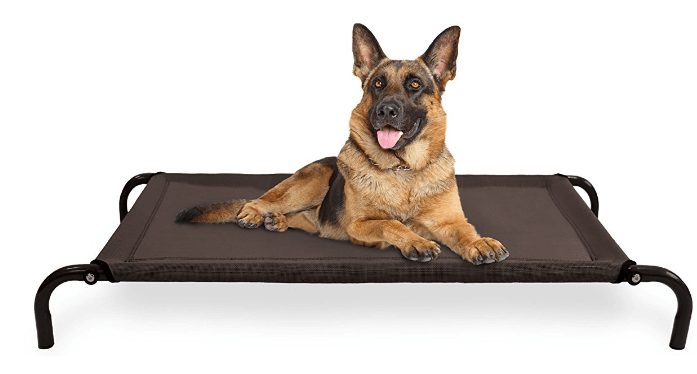 FurHaven Elevated Cot Pet Bed for Dogs