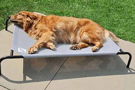 Gale Pacific The Original Elevated Pet Bed