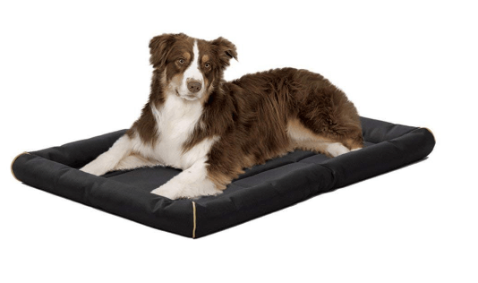 Midwest Quiet Time Maxx Ultra Rugged Pet Bed