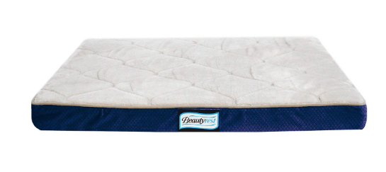 Simmons Beautyrest Thera Bed Orthopedic Memory Foam Dog Bed