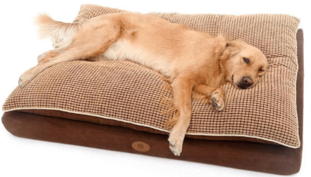 buy large dog bed