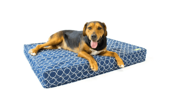 eLuxurySupply Orthopedic Dog Bed
