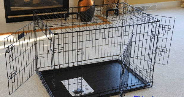 EliteField 3-Door Folding Dog Crate