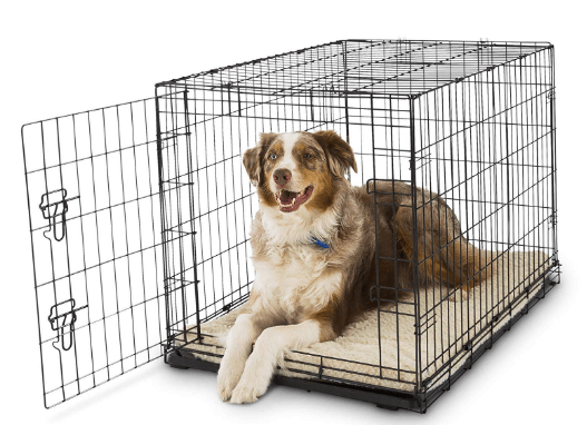 Petco Classic 1-Door Large Dog Crate