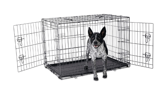 Petco Premium 2-Door Dog Crate