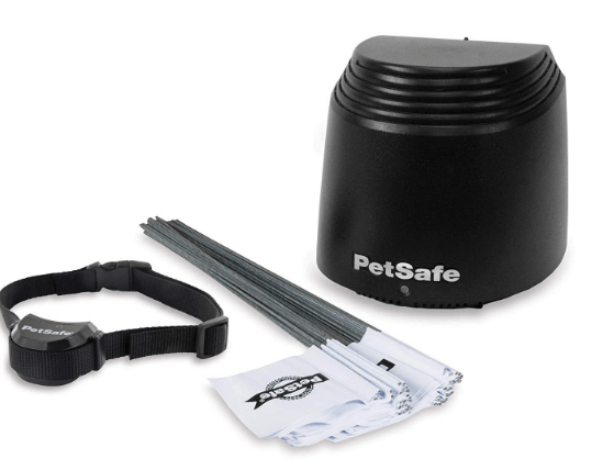 PetSafe Stay Play Wireless Fence