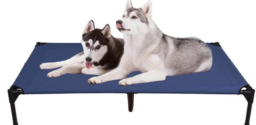 Veehoo Elevated Dog Bed