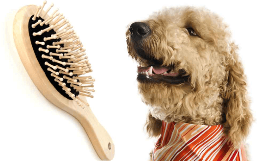 Dog Brush for long hair