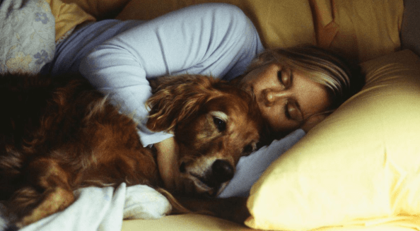 dog sleep with humans