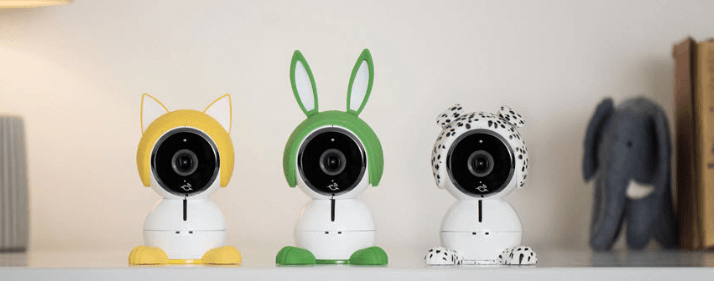 rabbit monitor camera