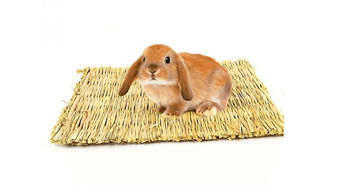 Common problems with rabbit mat