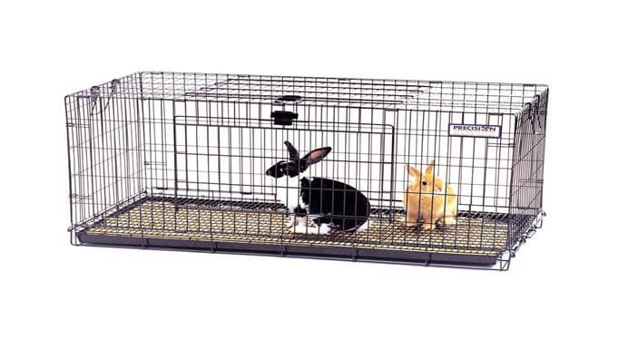 Bunny Cages