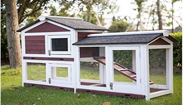 Bunny cages outdoor