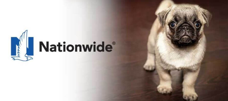 Nationwide pet insurance